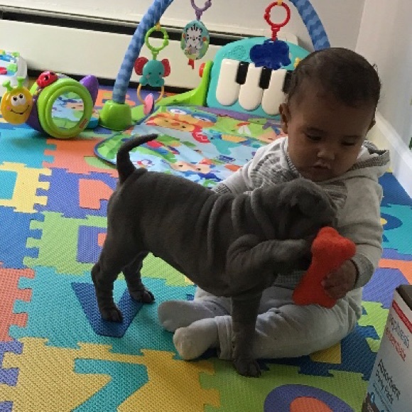 Meet your Posher, Kenya - Picture 1 of 1